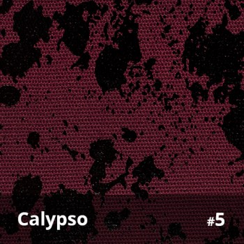 Calypso 5